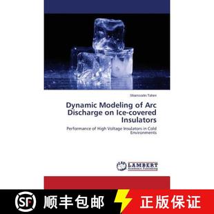 Insulators Ice Discharge Modeling Arc 9783659716140 预订 covered Dynamic