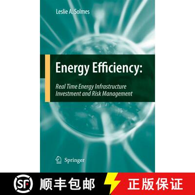 【3-4周达】Energy Efficiency : Real Time Energy Infrastructure Investment and Risk Management [9789401784788]