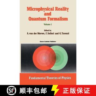 Microphysical 9789401078177 ... Proceedings 4周达 and Reality Conference Quantum the Formalism
