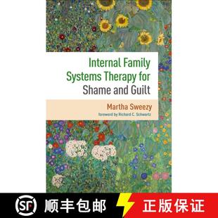 Internal 9781462552474 Perspective Shame 4周达 and Systems Family Therapy Guilt for
