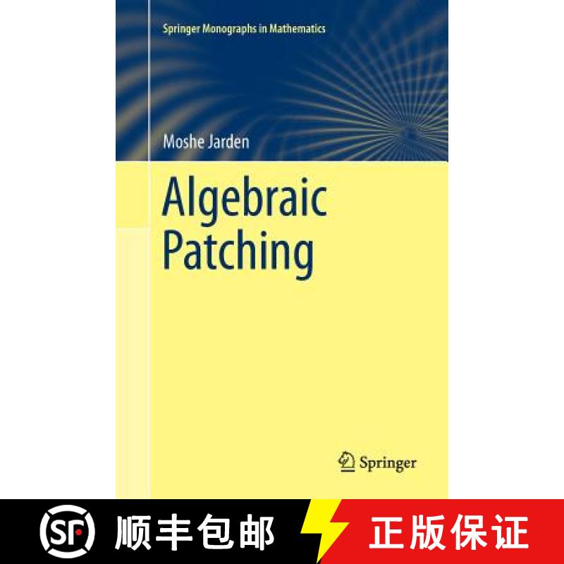 【3-4周达】Algebraic Patching [9783642266515]