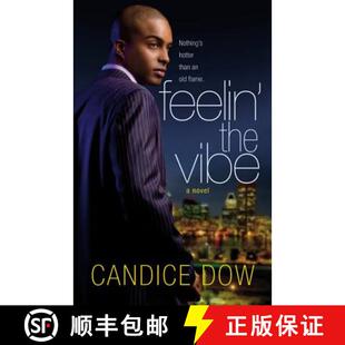 【3-4周达】Feelin' the Vibe [9780446179522]