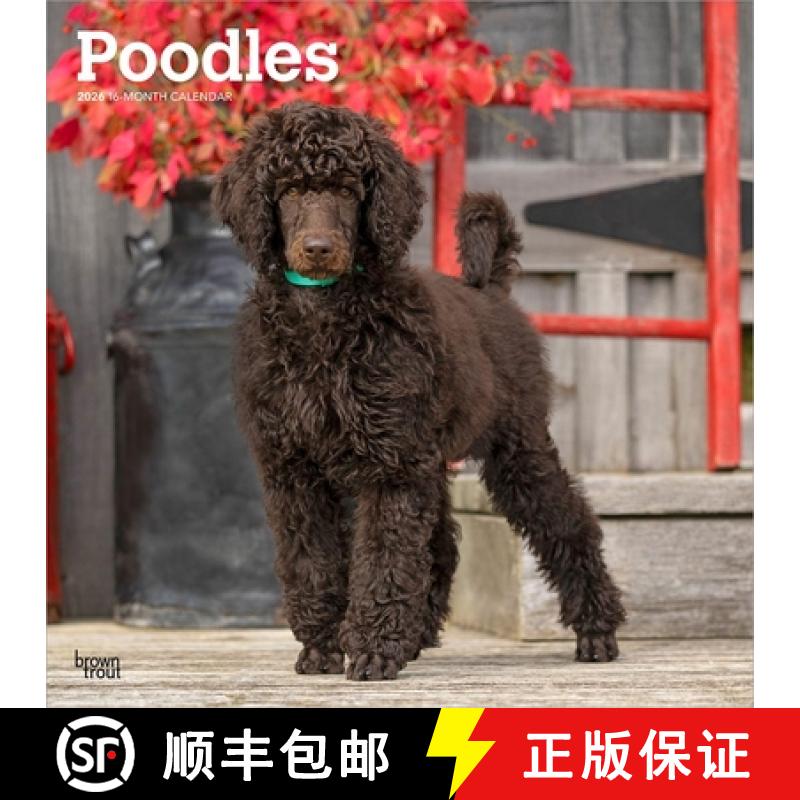 【3-4周达】Poodles 2026 12 X 24 Inch (Hanging) Monthly Square Wall Calendar Plastic-Free [9798330705160]