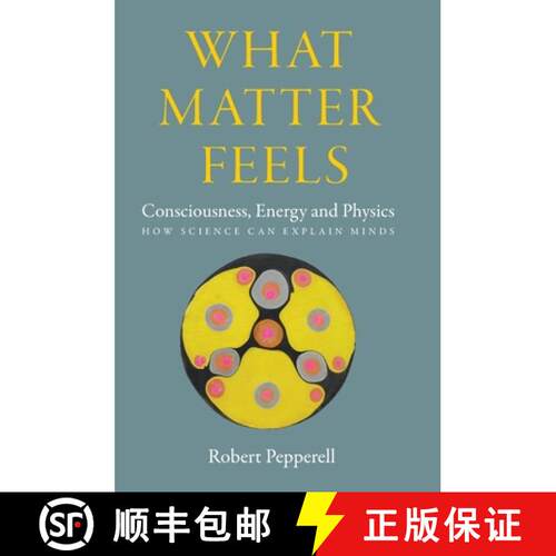 【3-4周达】精装 What Matter Feels:  Consciousness, Energy and Physics (How Science can Explain Minds) [9781068523212]