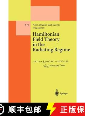 【3-4周达】Hamiltonian Field Theory in the Radiating Regime [9783642076817]
