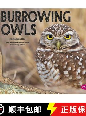 预订 Burrowing Owls [9781491460528]