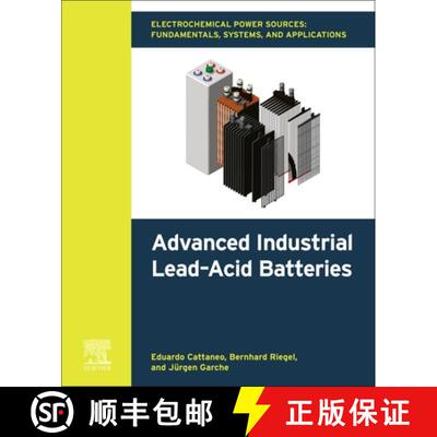 【3-4周达】Electrochemical Power Sources: Fundamentals, Systems, and Applications: Advanced Industria... [9780443403705]