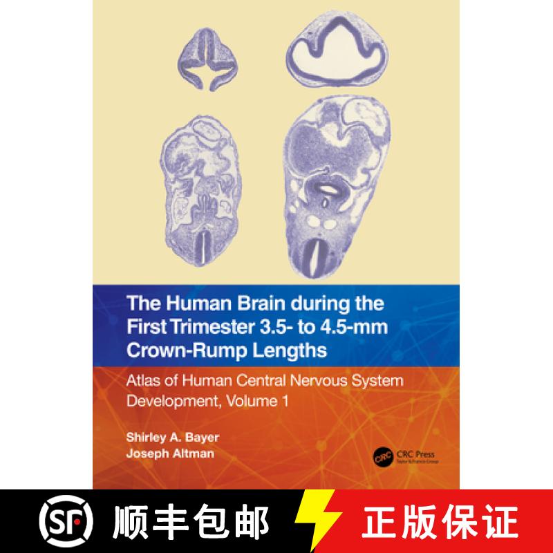 【3-4周达】The Human Brain During the Early First Trimester 3.5 to 4.5 MM Crown-Rump (Cr) Lengths: At... [9781032183251]