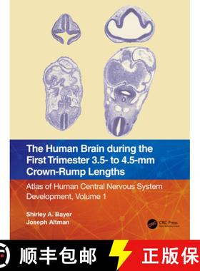 【3-4周达】The Human Brain During the Early First Trimester 3.5 to 4.5 MM Crown-Rump (Cr) Lengths: At... [9781032183251]