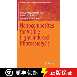 Nanocomposites for Photocatalysis 9783319624457 Induced 4周达 Light Visible
