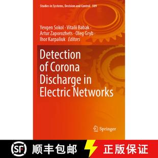 Discharge 9783031440274 4周达 Networks Electric Corona Detection