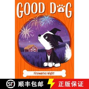 Fireworks 4周达 Night Volume 9781534495319