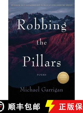 预订 Robbing the Pillars [9781956368680]