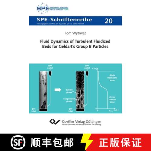 【3-4周达】Fluid Dynamics of Turbulent Fluidized Beds for Geldart's Group B Particles [9783736975712]