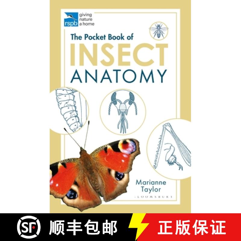 【2-3周达】RSPB Pocket Book of Insect Anatomy: Shape  Form and Function in the Invertebrate World [9781472976871]