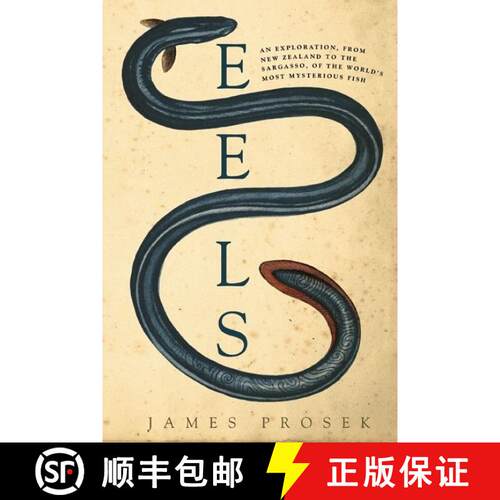 预订 精装 Eels: An Exploration, from New Zealand to the Sargasso, of the World's Most Mysterious Fish [9780060566111]