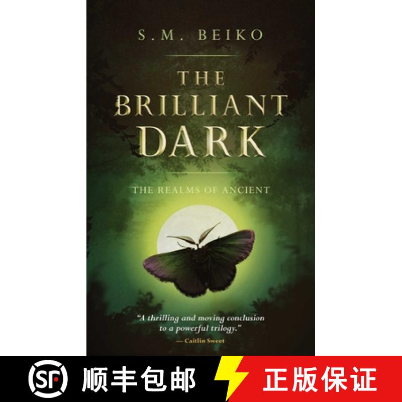 【3-4周达】The Brilliant Dark: The Realms of Ancient, Book 3 [9781770414334]