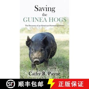 American the Hogs Guinea Homestead 9781733593212 Recovery The 4周达 Saving Breed