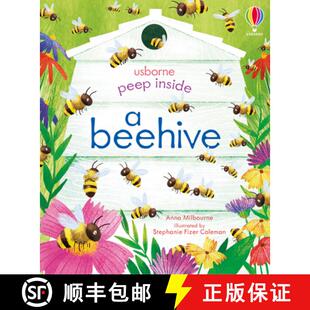 【3-4周达】Peep Inside a Beehive [9781474978477]