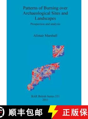 【3-4周达】Patterns of Burning over Archaeological Sites and Landscapes: Prospection and analysis [9781407307879]