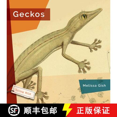 【3-4周达】Geckos [9781682773345]