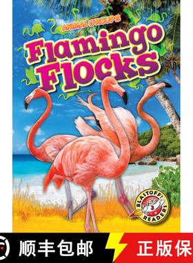 【3-4周达】Flamingo Flocks [9798893045116]
