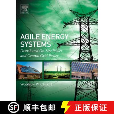 【3-4周达】Agile Energy Systems: Global Distributed On-Site and Central Grid Power [9780081017609]