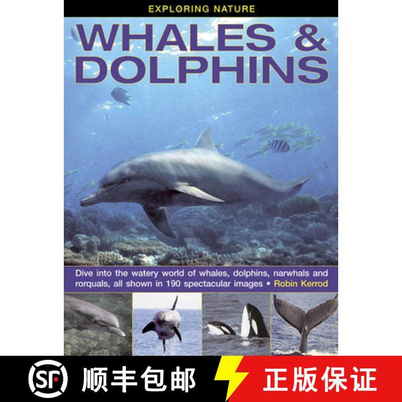 【3-4周达】Exploring Nature: Whales & Dolphins: Dive Into the Watery World of Whales, Dolphins, Narwh... [9781843229124]