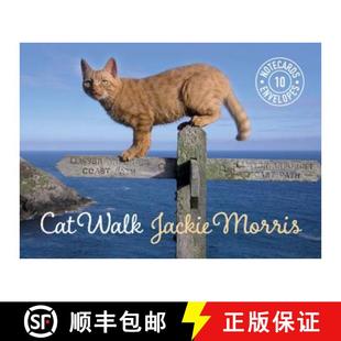 9781909823402 4周达 Envelopes and Cards Notecards Walk Cat