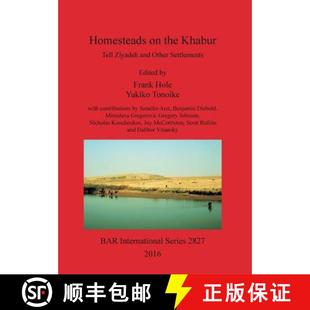 the Khabur Yale for Excavation Basin Ziyadeh University Syria... report Tell 4周达 9781407314624 excavations