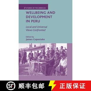 Peru Development Local Confronted Wellbeing Views 4周达 9781349375677 and Universal
