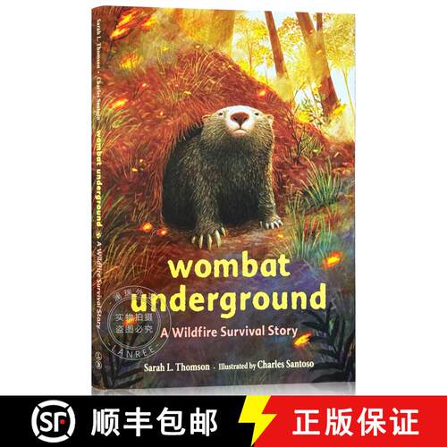 现货 精装 地下袋熊：一段野火中的幸存故事 Wombat Underground: A Wildfire Survival Story [9780316707060]