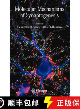 【3-4周达】Molecular Mechanisms of Synaptogenesis [9780387325606]