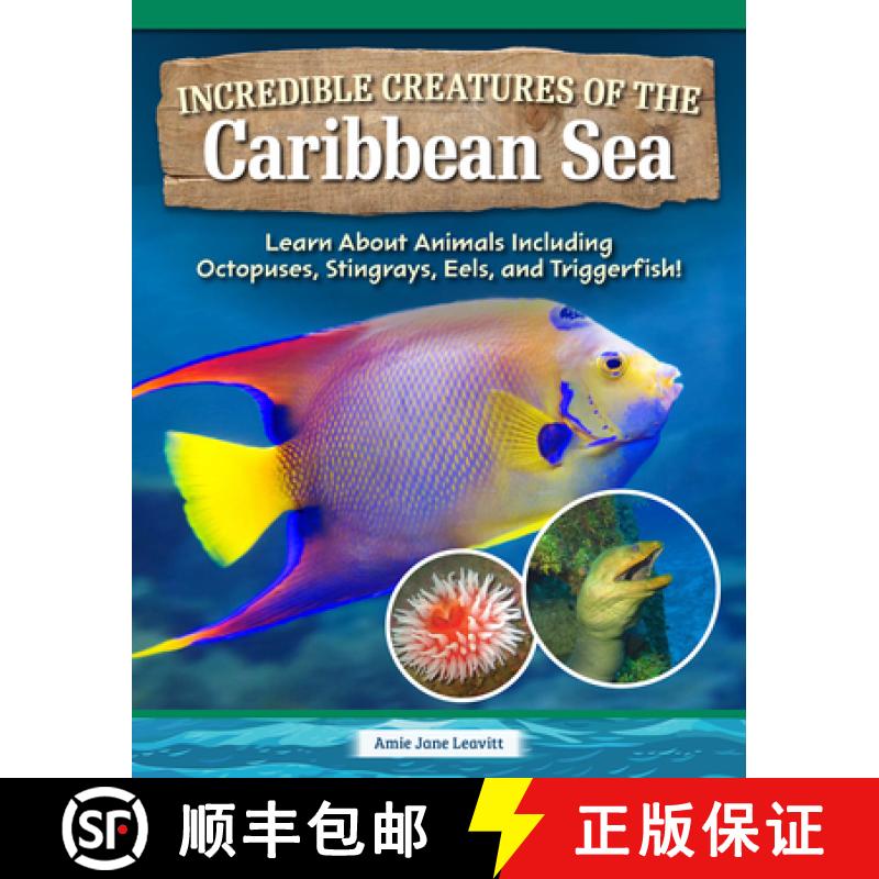 【3-4周达】Incredible Creatures of the Caribbean Sea: Learn about Animals Including Octopuses, Stingr... [9798890941794]