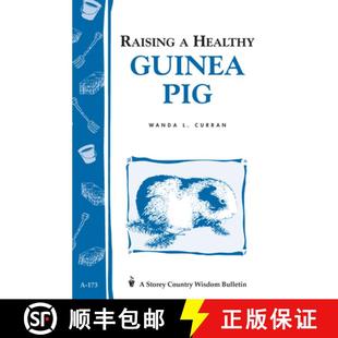 Healthy Bulletin 173 Raising Country Storey Pig 4周达 9780882669991 Wisdom Guinea