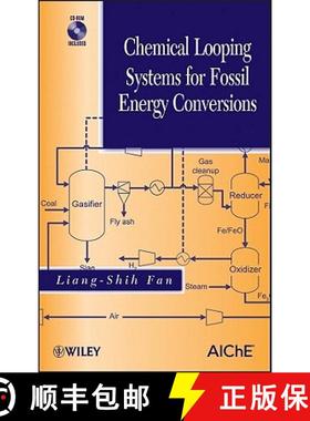 【3-4周达】Chemical Looping Systems For Fossil Energy Conversions [Wiley化学工程] [9780470872529]
