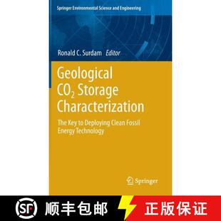 Fossil 4周达 Storage CO2 The Clean Energy Deploying Geological Key 9781461457879 Technology Characterization