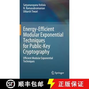 Energy 9783030745233 Mo... for 4周达 Public Modular Efficient Cryptography Exponential Key Techniques