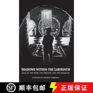 Shadows 9780692930816 Fantastic 4周达 Dark the Within and Labyrinth Obscure Tales