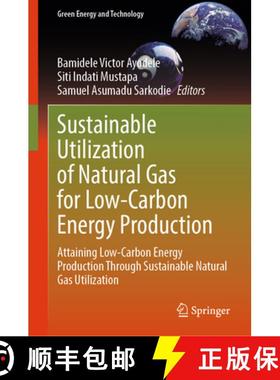 【3-4周达】Sustainable Utilization of Natural Gas for Low-Carbon Energy Production: Attaining Low-Car... [9789819762811]