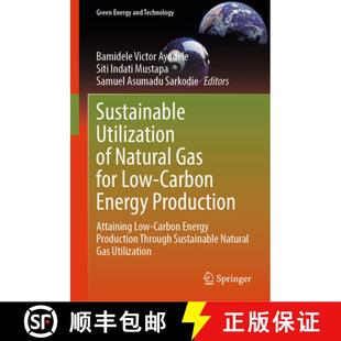 Production 4周达 Utilization Gas Energy Attaining Carbon Sustainable Low for 9789819762811 Car... Natural