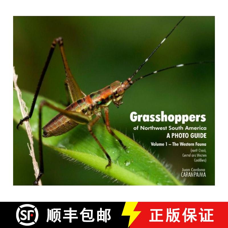 预订 Grasshoppers of Northwest South America - A Photo Guide, Volume 1: The Western Fauna (North Choc... [9789584605658]