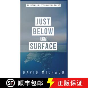 Just 9781738290017 Poems Initial 3周达 Collection The Below 100 Surface
