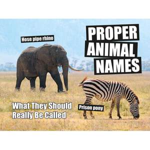 【4周达】Proper Animal Names: What They Should Really Be Called[9781786852052]