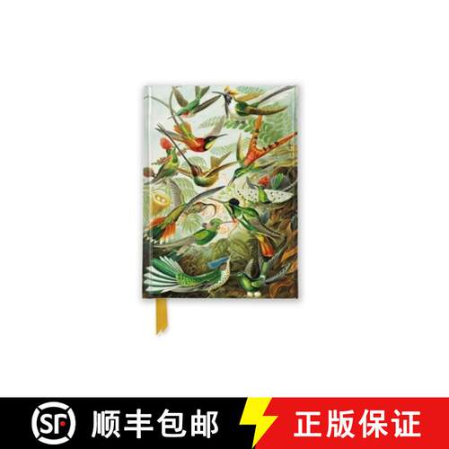 【3-4周达】Ernst Haeckel: Hummingbirds (Foiled Pocket Journal) [9781835625804]
