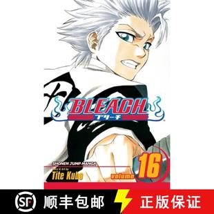 Bleach Vol. Wijnruit 9781421506142 4周达 Knight