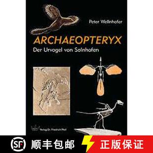 Evolution Urvogel The Icon Solnhofen Der von 9783899370768 预订 Archaeopteryx