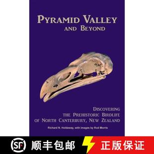 预订 Pyramid Valley and Beyond [9780473309978]