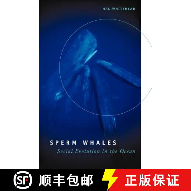 【3-4周达】Sperm Whales: Social Evolution in the Ocean [9780226895185]