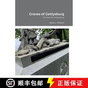 Graves Gettysburg 3周达 Tumbas 9781387761319